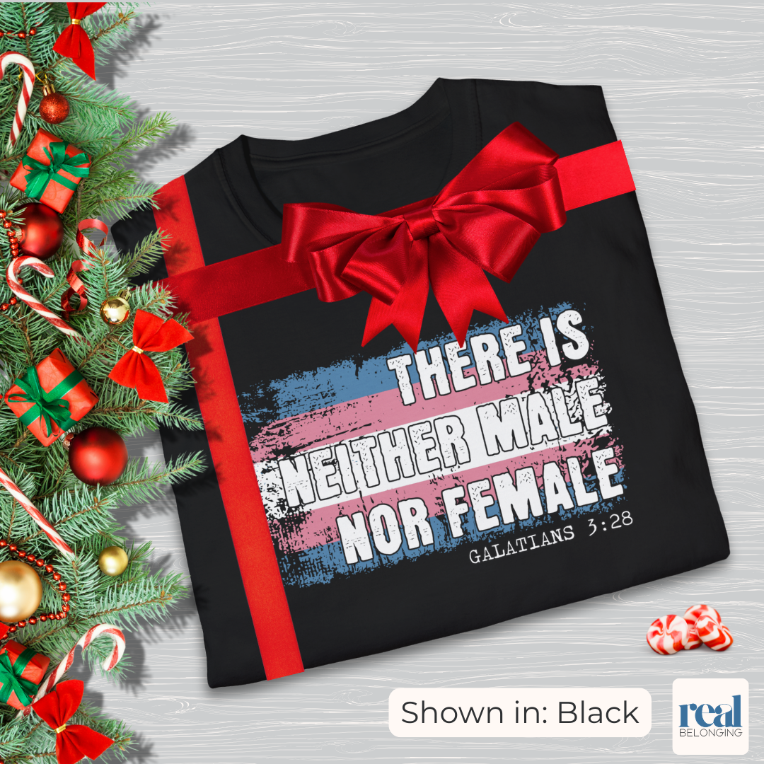 There Is Neither Male Nor Female Christian Trans Pride Shirt