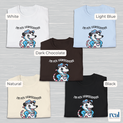 I'm Not Transgender But My T-Shirt Artist Is