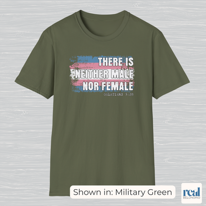 There Is Neither Male Nor Female Christian Trans Pride Shirt