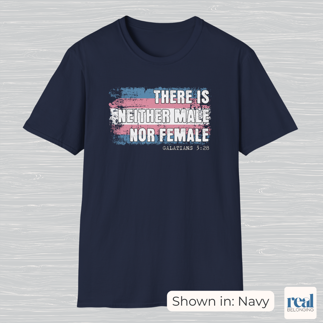 There Is Neither Male Nor Female Christian Trans Pride Shirt