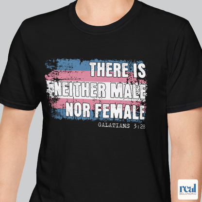 There Is Neither Male Nor Female Christian Trans Pride Shirt