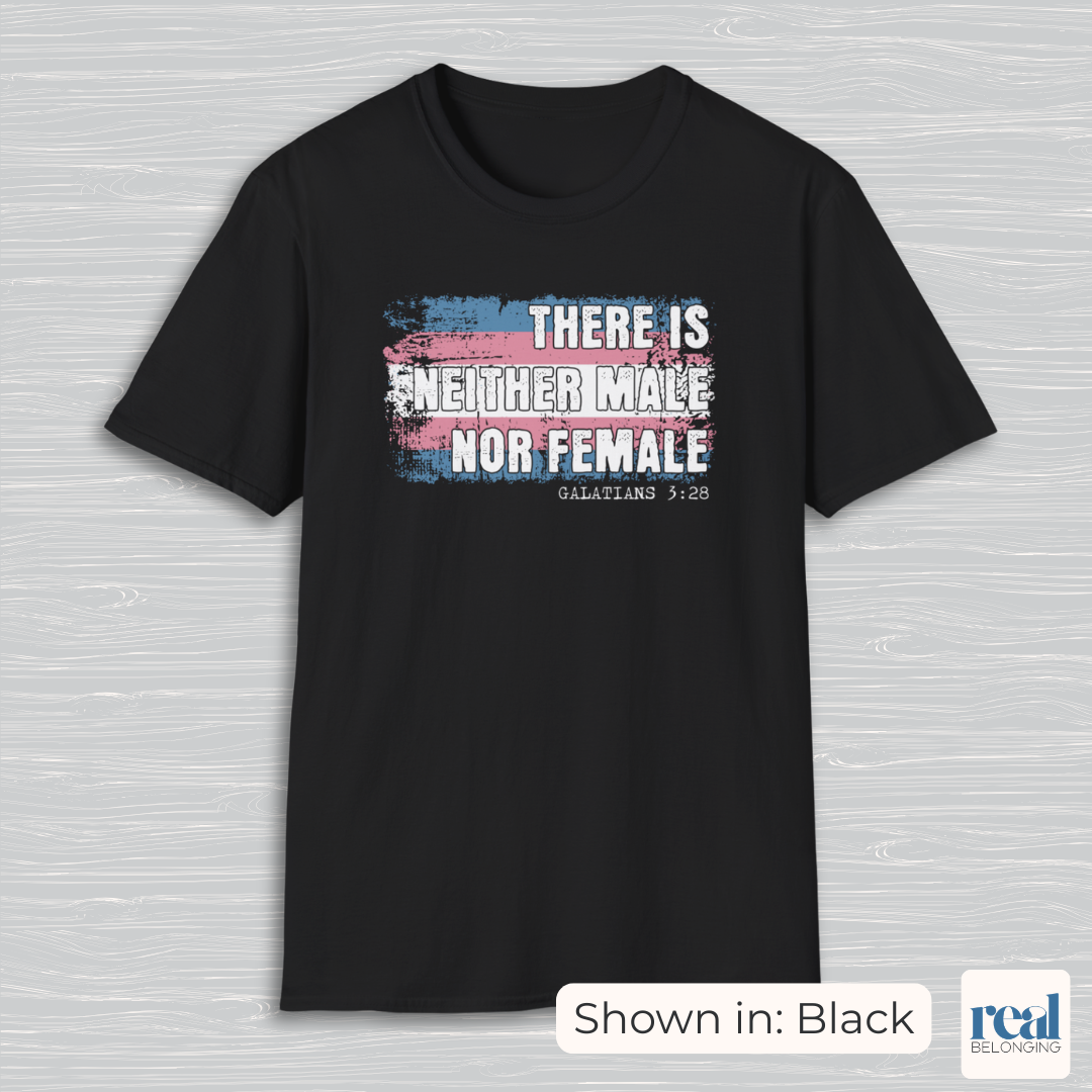 There Is Neither Male Nor Female Christian Trans Pride Shirt