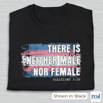 There Is Neither Male Nor Female Christian Trans Pride Shirt