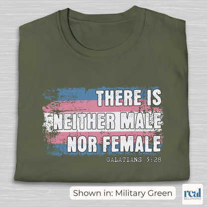 There Is Neither Male Nor Female Christian Trans Pride Shirt