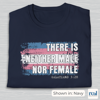 There Is Neither Male Nor Female Christian Trans Pride Shirt